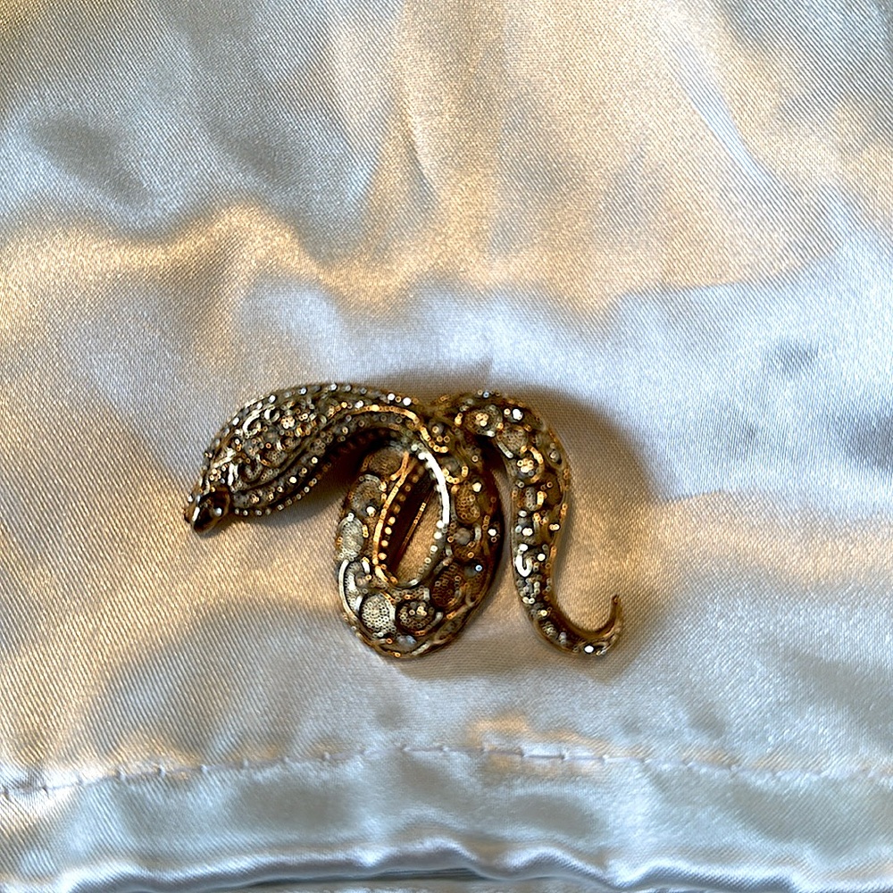 Snake Brooch